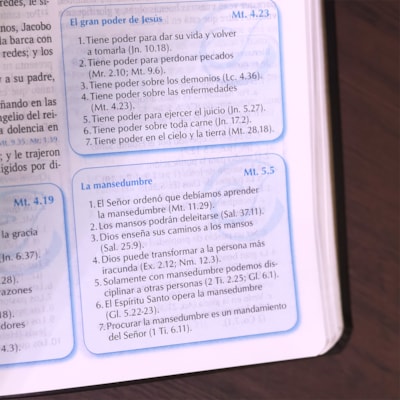 image_c30b0eaa-6790-44a6-a681-ee488d94b084