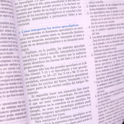 image_00bea5bc-0f02-41a5-ad1a-a28c1e76b519