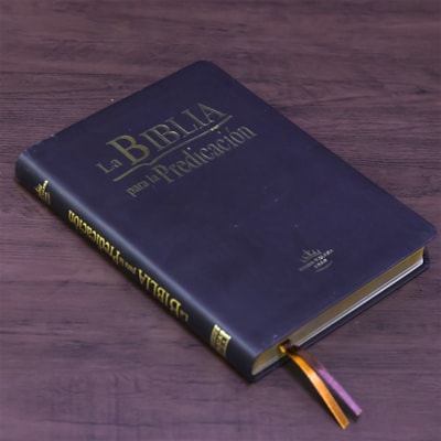 image_11722524-9c1a-44f7-8739-62a96d2862d6