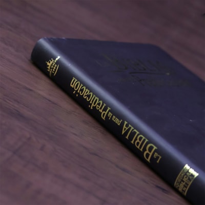 image_3f48dfd9-73a6-454d-a4f6-8747a2d4b338