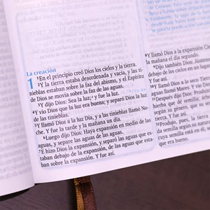 La Bíblia Para La Predicación | Reina Valeria | Capa Luxo Café