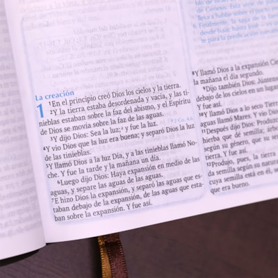 image_b0aa9bf2-456a-42a5-b116-06595e78877d