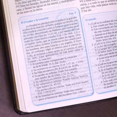 image_2b79a9c9-d703-4942-8441-90b1d1503e84