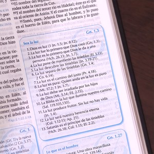 La Bíblia Para La Predicación | Reina Valeria | Capa Luxo Café