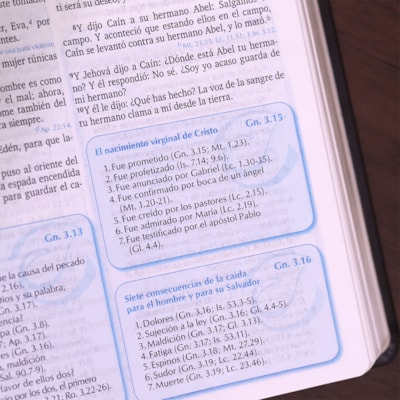 image_251e860b-50d0-44b2-8458-8dbca88879e9