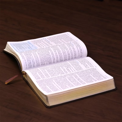 image_651e72ec-cb1c-49e2-9024-f6a07e424466