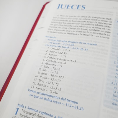 image_80929247-7ae9-4922-bdf4-d11b9b9c28bc