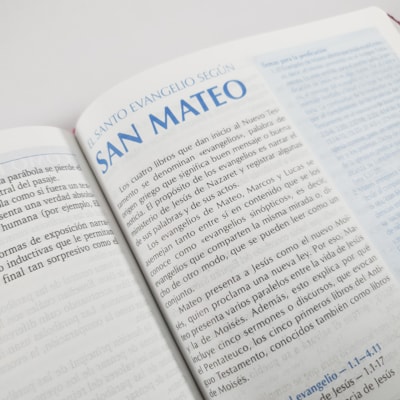 image_510bfd6e-0fad-4399-98e6-1c1d9902b2a7