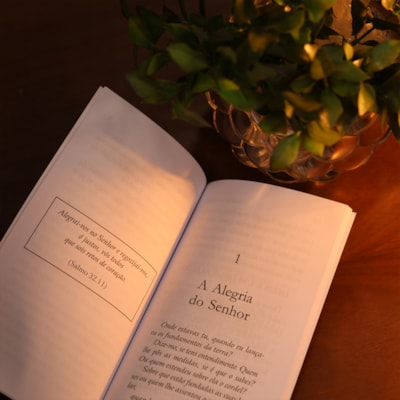 image_e5cfd3a8-74ad-47ad-88b2-7668eb29711c