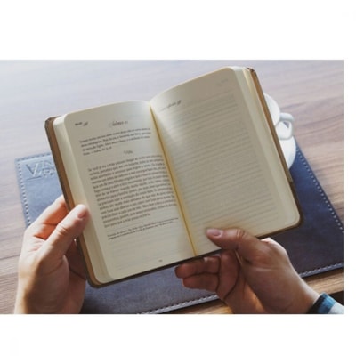 image_b6e403a9-87d5-4148-b0a1-d256de4fe5ed