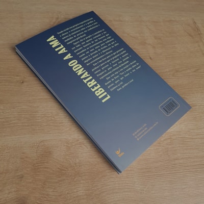 image_2070b0e8-6ee7-4995-af5b-623e4b0abcb8