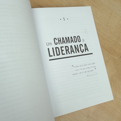 image_efc3ca2c-baf7-4c81-95bc-42cf7e071875