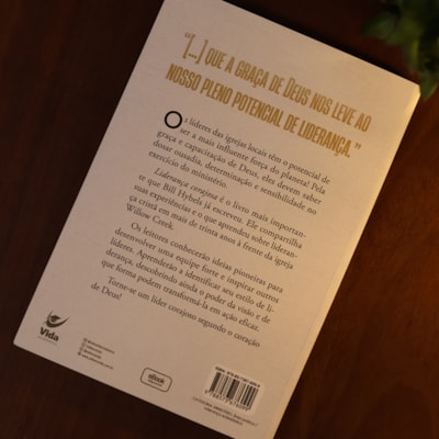 image_088c43fa-f601-425d-a3be-3ed0200cbd6b