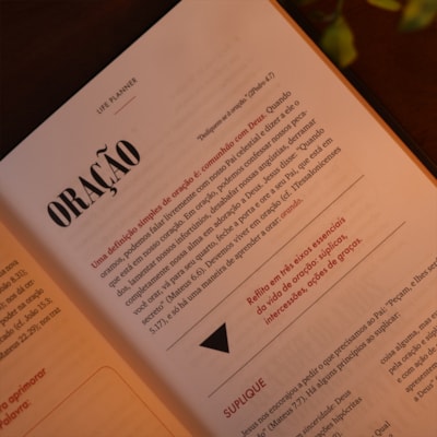 image_6765ed3b-32f8-414b-9151-d4f331585e22