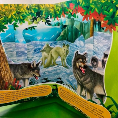 image_071e8bbb-7ffa-4eca-8a38-81dd5bf84405