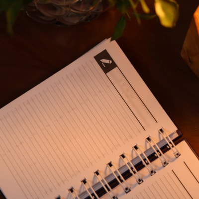 image_88012292-549f-44b1-ba69-69309db7f529