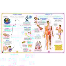 Segunda imagem do produto Livro Cartonado Como Funciona o Meu Corpo?