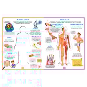 Segunda imagem do produto Livro Cartonado Como Funciona o Meu Corpo?