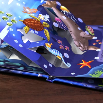 image_195c0b9d-3f05-40e0-a830-747b52082c88