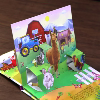 image_52cbe00c-3e00-4387-b795-2e46c832e479