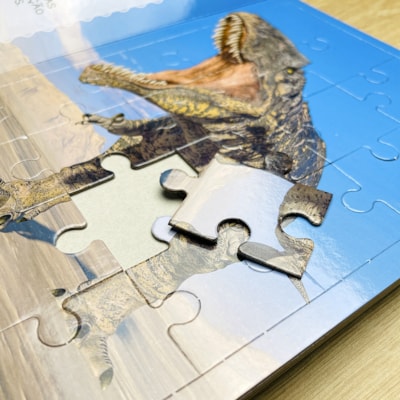 image_af3ef469-7c0d-4e96-9a8b-698ab04964c4