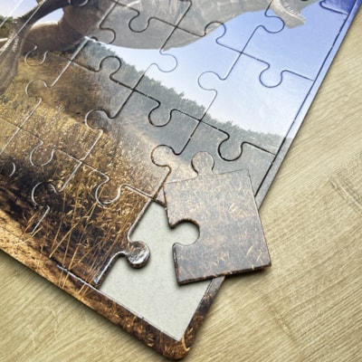 image_2ce4debb-30d3-494f-ba28-90ec858cc190