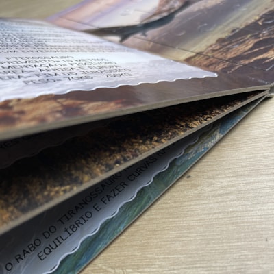 image_baa3d606-c04d-4c81-a894-136197e3ad02