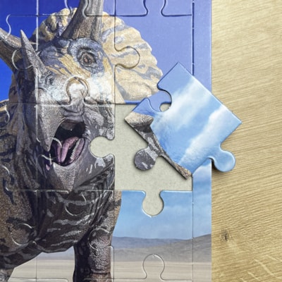 image_5e8606b9-158c-4273-82e4-849c41208545