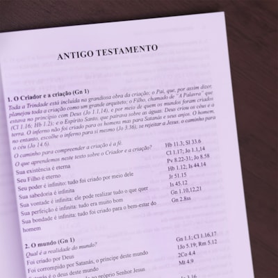 image_211d3272-73f4-4f48-9624-821ad20eb37c