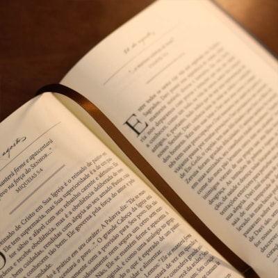 image_4c3df1b8-fdb3-40a0-8c47-df2ece1ca9cc