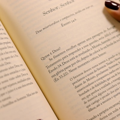 image_5ce44992-2a88-4d1a-bc54-8041861b95b5