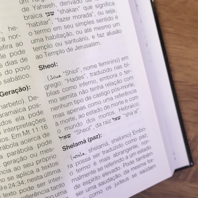 image_bf1cb5cc-72f1-4c53-b3b1-7a756c32f6ed