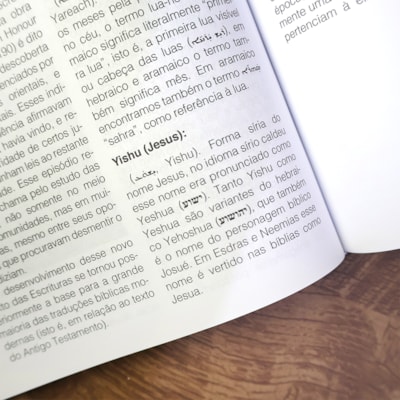 image_ee9f170b-e5c4-43b0-b69b-6ee5728d9bf2