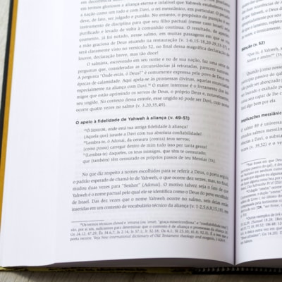 image_16f57ed9-25de-4f7a-be04-fe4ebdc5dafd