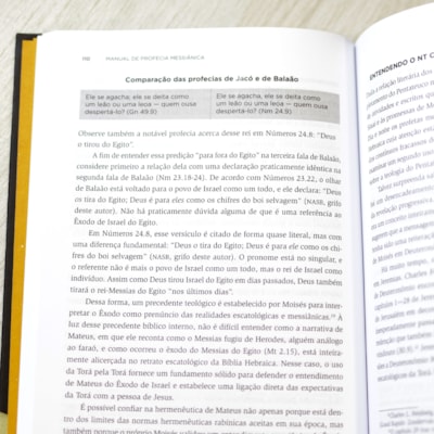 image_3778f99a-8537-485f-9301-21e4b59ec3c4