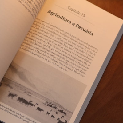 image_a7d0c078-e73d-4654-8415-85f09caab4b5