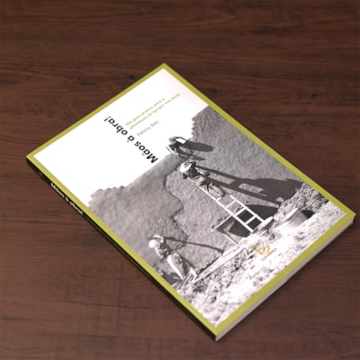 Segunda imagem do produto Mãos à Obra | 
                                                    Felicity Dale