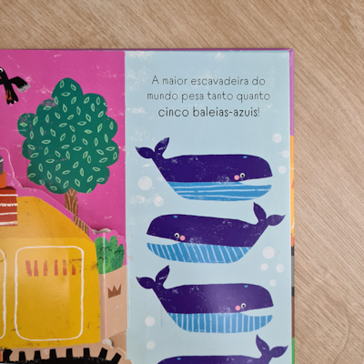 image_c9eb3c0c-f7b0-4a7a-87f8-0a219a8c2ef0