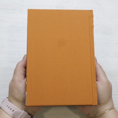 image_878869a2-2524-46a5-b129-ea2ac490327f