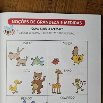 image_bed9764e-5f6e-4537-9d21-c34207d69d8e