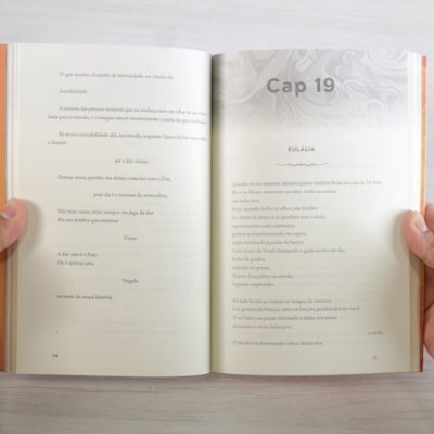 image_e255a56c-1f09-4fbf-a4e4-f3c438193c95