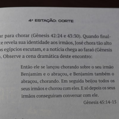 image_01cce764-2274-4650-9e4d-80e1126fb41c