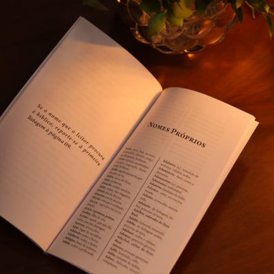 image_c00efcac-08bf-416e-b066-ddee6fc952b5