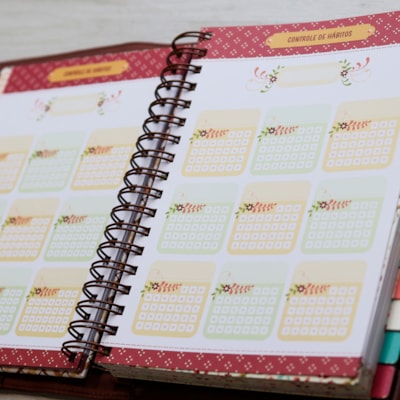 image_50608e42-4278-4665-86c7-b9e8b5fd47bf