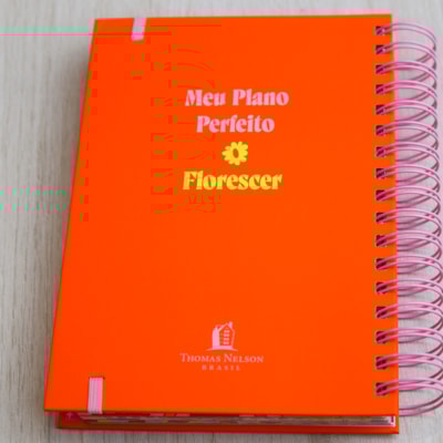 image_d87c1d37-8fcd-49b7-b0d4-a3260e9d5782