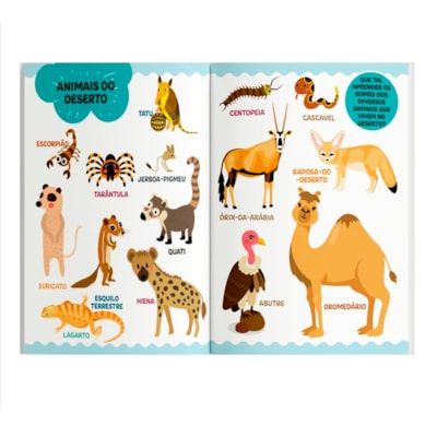 image_35bed904-bfd3-41d1-8561-3d65b5af72d1