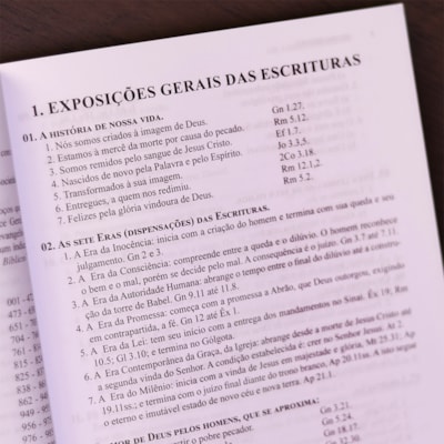 image_6e3b93f4-1559-4b54-a1b8-80ff12a0b468