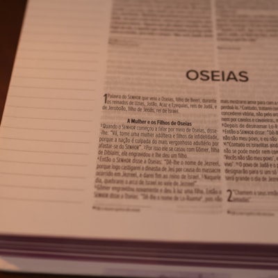 image_4ce8c339-f29a-46e8-b174-c3c6f7716940