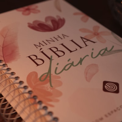 image_428461fe-8e2b-4b0c-9190-c5f86f3bb30f