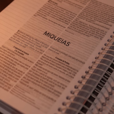 image_fb7adbdf-9bd7-49ca-8d17-3e259c2ad290